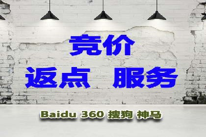 SEM推广公司成功案例：助力企业实现品牌多元化发展